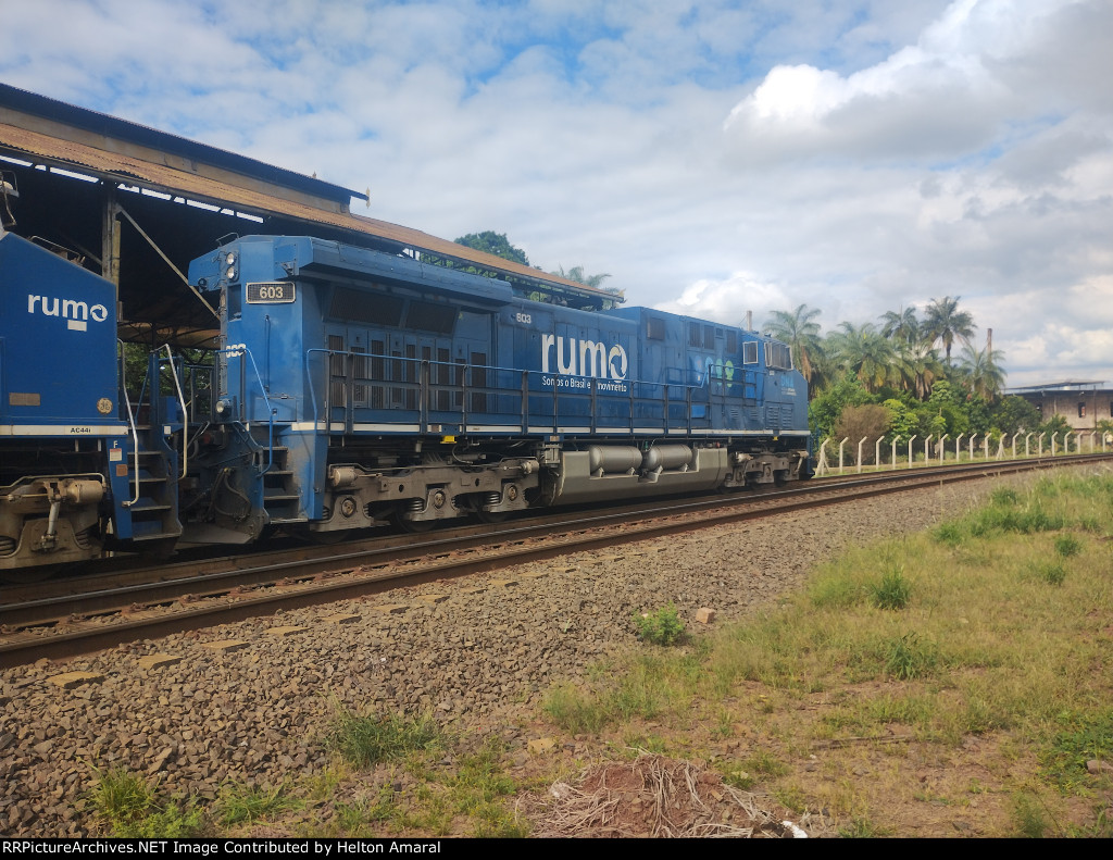 RUMO 603
